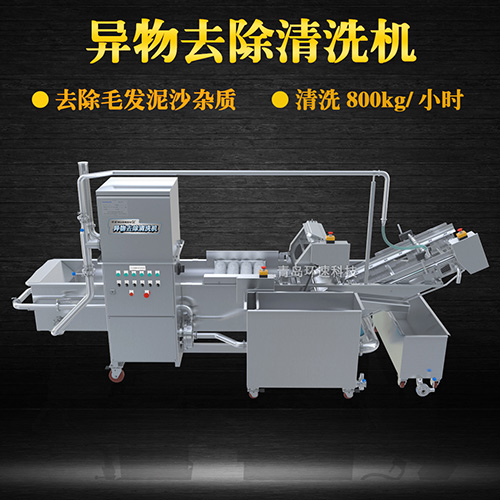 蔬菜清洗設(shè)備，氣泡清洗，清洗800kg小時(shí)