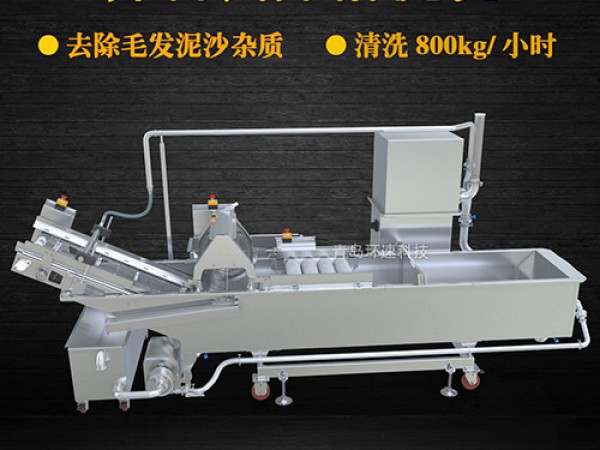 蔬菜清洗機(jī)，氣泡清洗，清洗800kg/小時(shí)