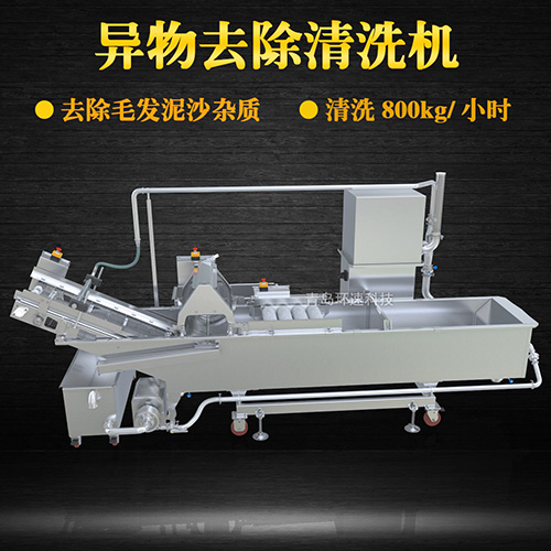 蔬菜清洗機(jī)，氣泡清洗，清洗800kg小時(shí)
