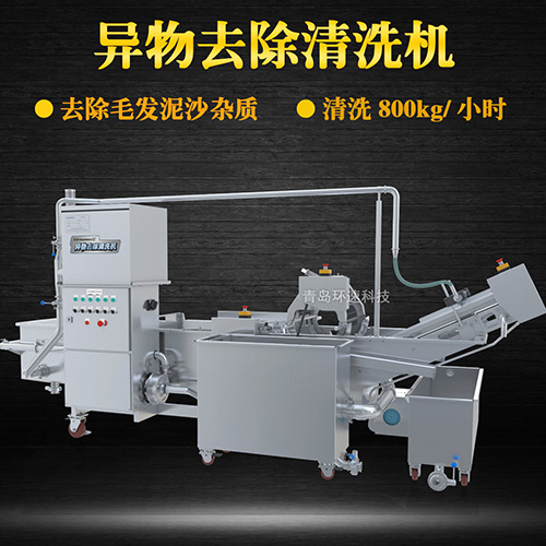 蔬菜清洗機(jī)，氣泡清洗，清洗800kg小時(shí)