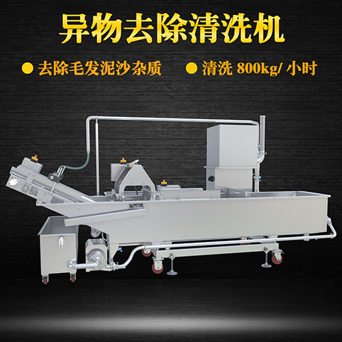 蔬菜氣泡清洗機，氣泡清洗，清洗800kg小時